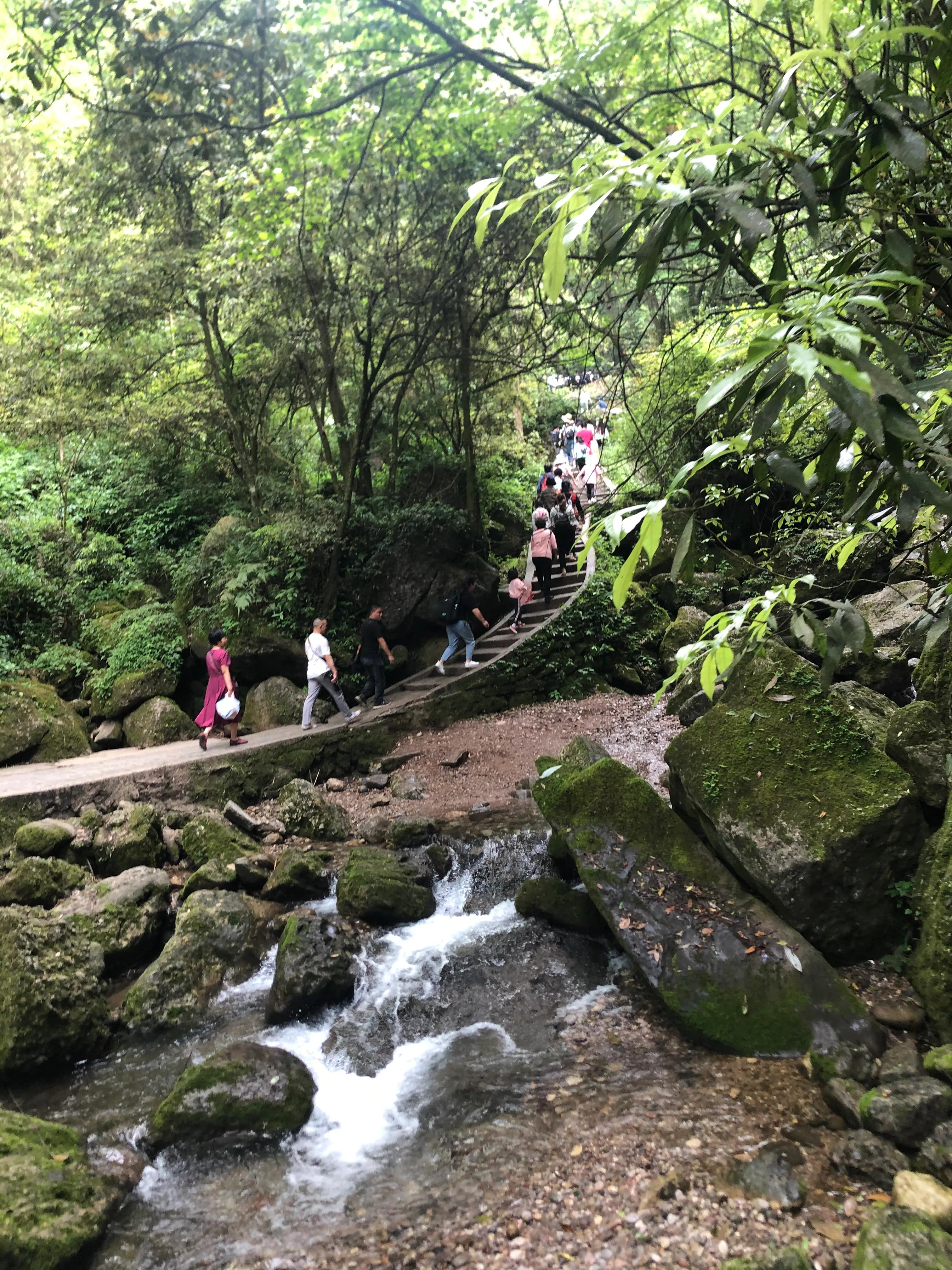 青城山后山一日游耍水攻略,青城山后山最值得去的地方