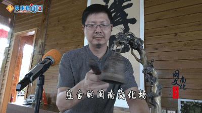 闽南文化守护者,闽南文化守护者蔡刚华