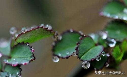 被杜甫称赞笔落惊风雨的诗人,杜甫屋漏偏逢连夜雨完整诗