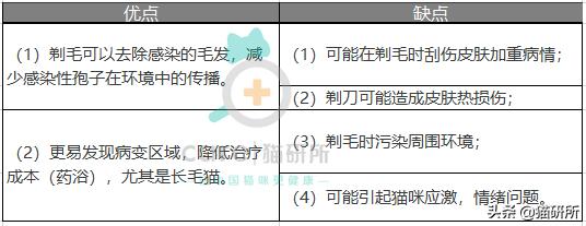 猫癣不好上药,猫癣一直不好越来越多