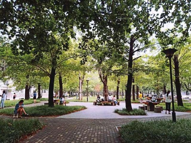 我看到真实的曲阜师范大学――有灯光的地方就有人学习