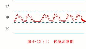 脉象动态图,脉象动图