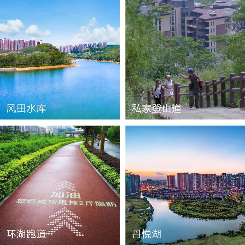 10多分钟到深圳、家门口上华附？14号线热盘深圳客占7成