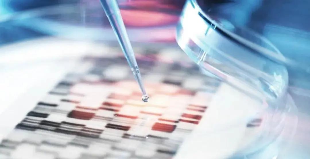 ctc预测胰腺癌复发转移,循环肿瘤细胞ctc检测值4.27高吗