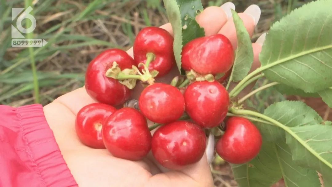 昆明周边适合三四天玩的景点,五一昆明周边自驾游