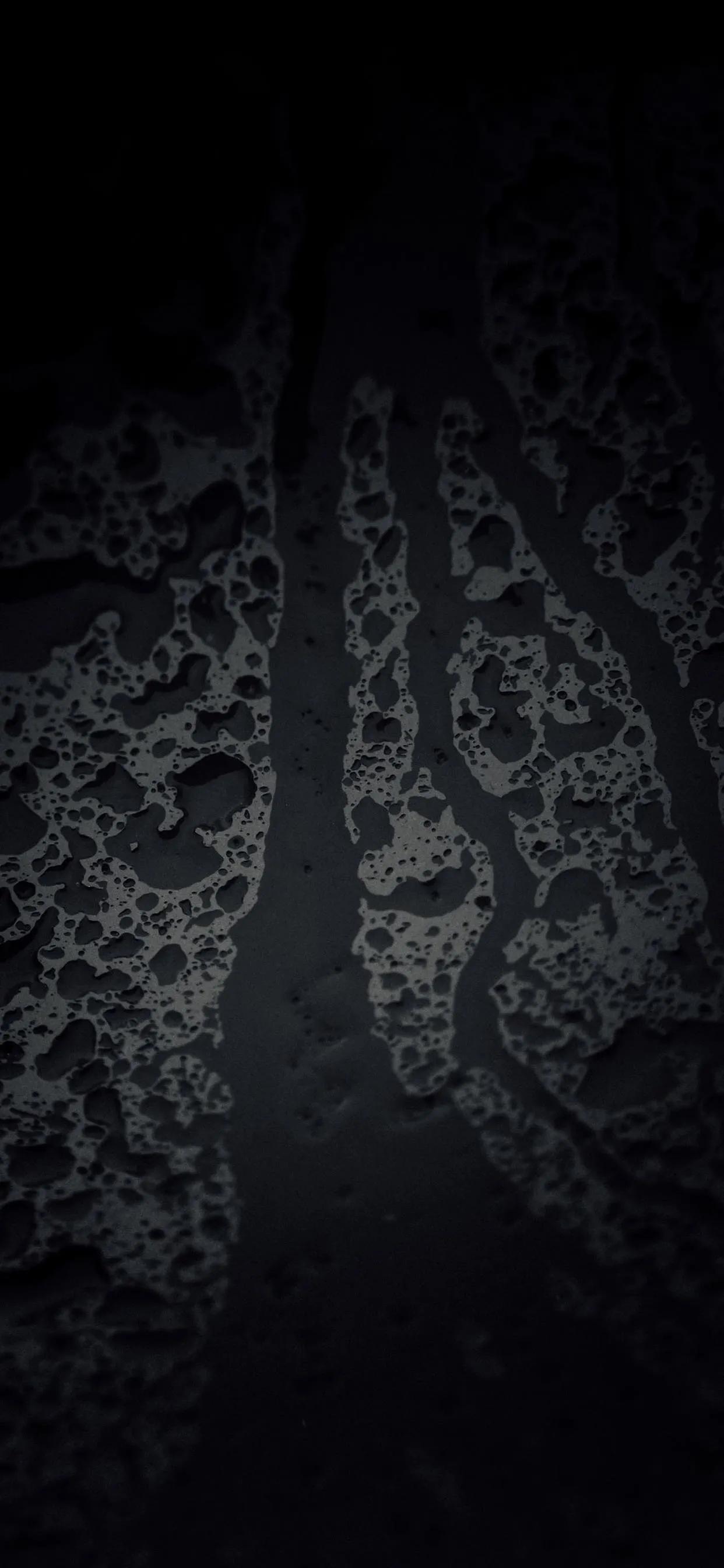 高清夜空中最亮的星全屏壁纸,黑夜中最亮的星星壁纸