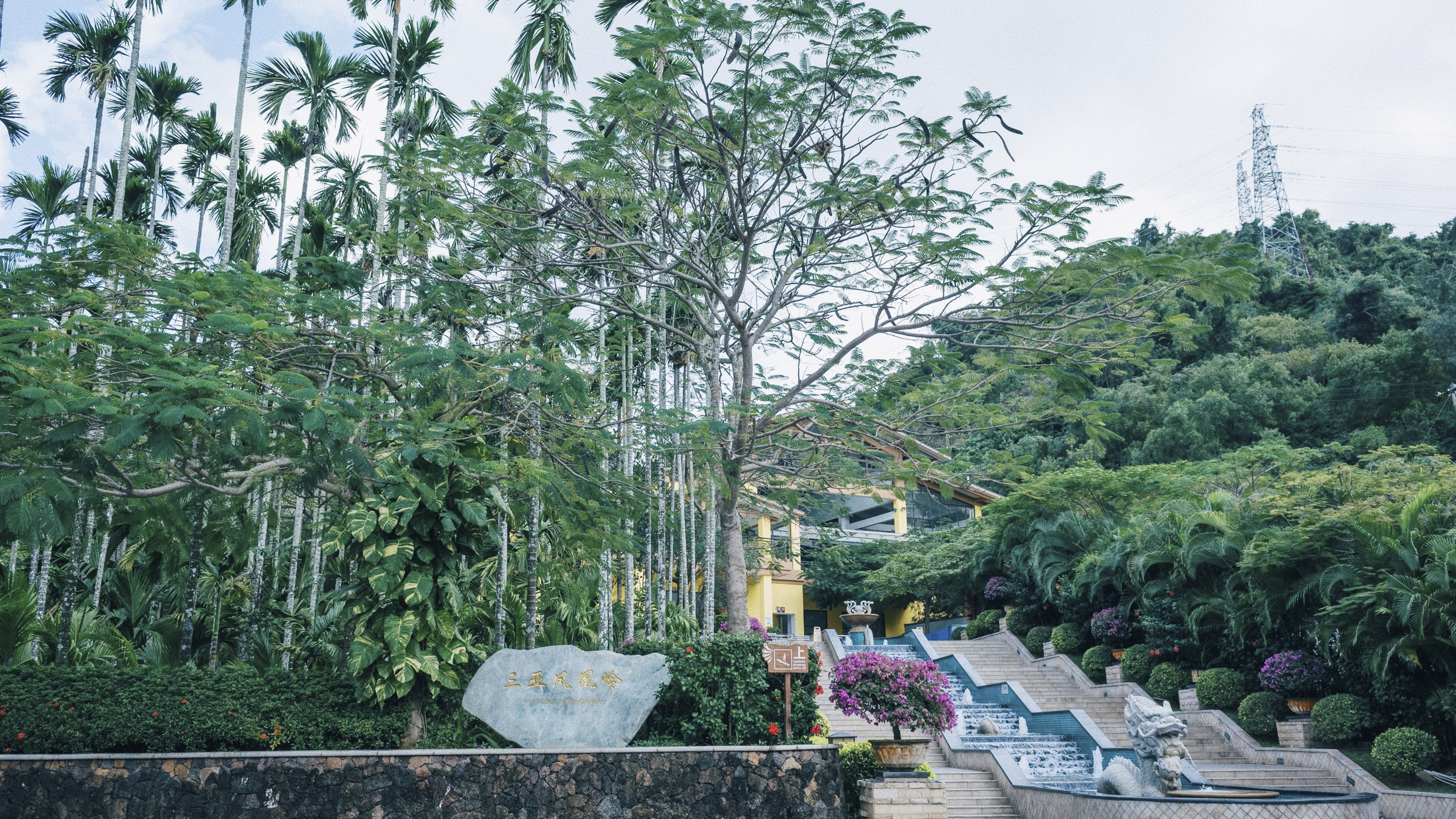 三亚凤凰岭山顶美景,三亚凤凰岭自然风景区攻略视频