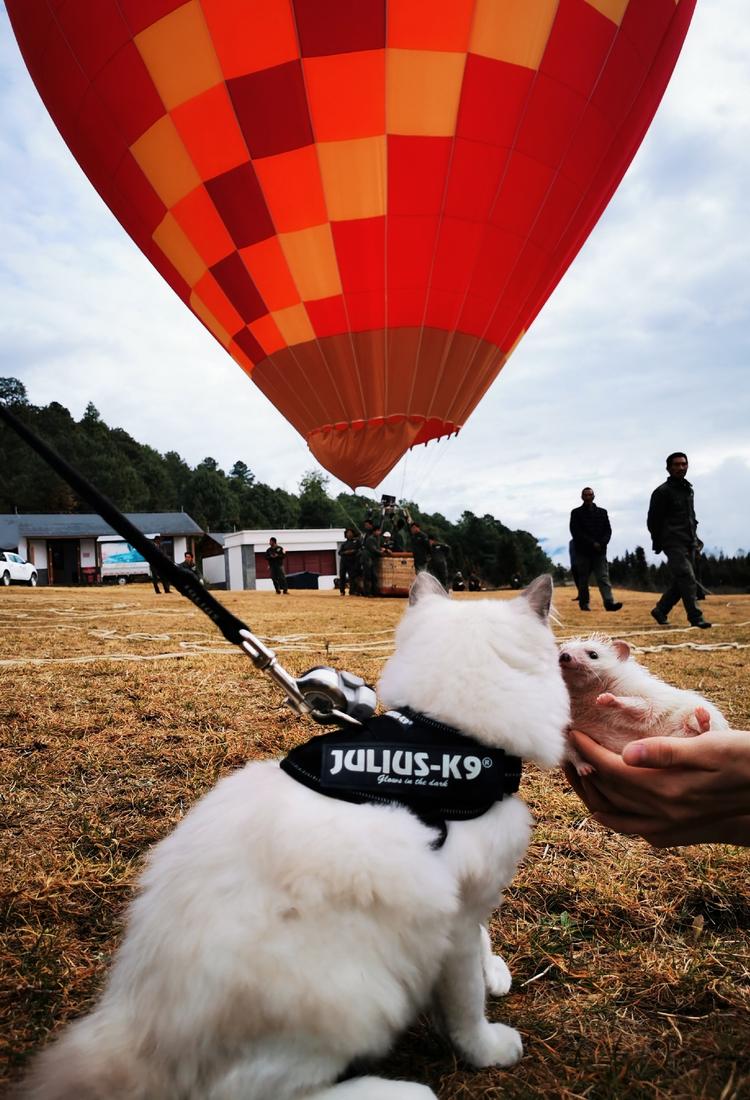 「第四期」一辆房车,三只毛孩子,三个姑娘,9476公里奇遇记