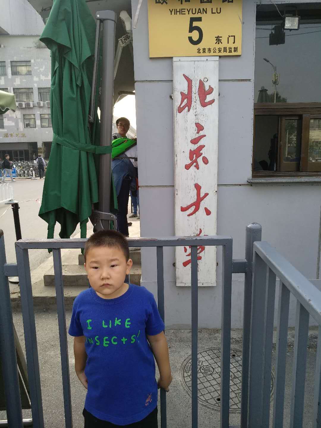 小学教育会造成脑损伤吗,教育改革必要性