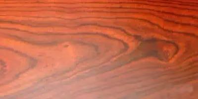 史上最全“红木”图解,看看哪种红木价值最高?