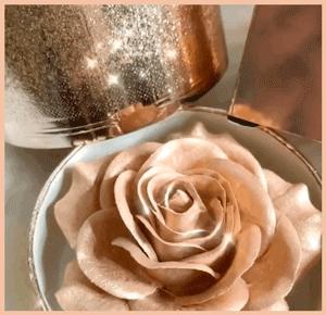 圣诞限量盲盒2020美妆,2022年圣诞美妆新品