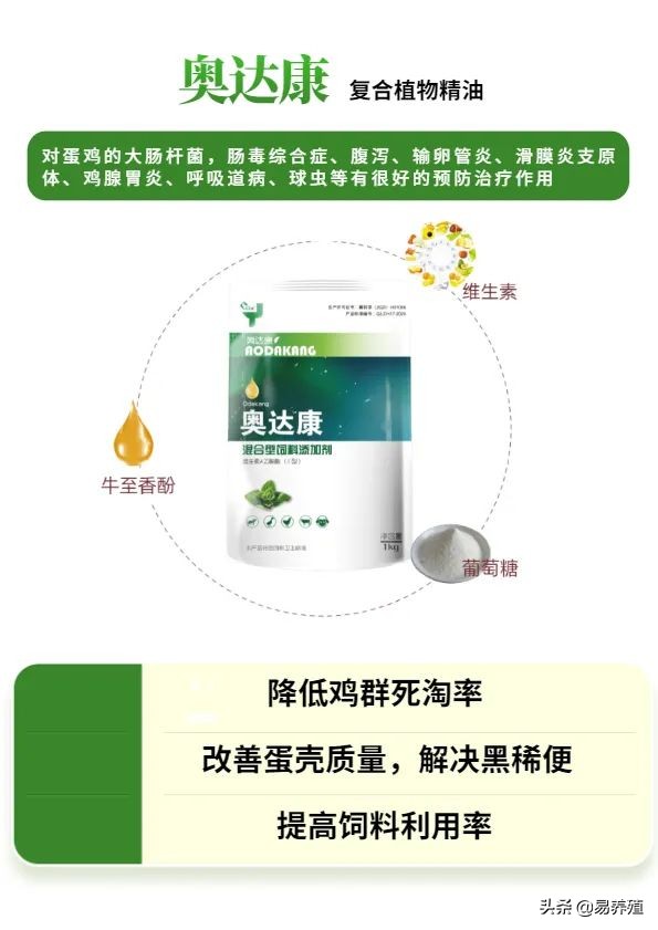 易养殖：带你治好鸡腺胃炎