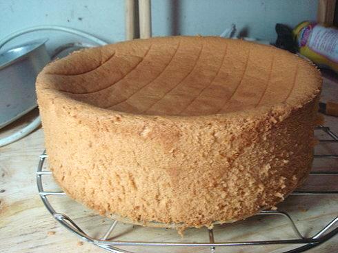 初学烘焙怎么调烤箱温度,烘焙烤箱温度如何掌控