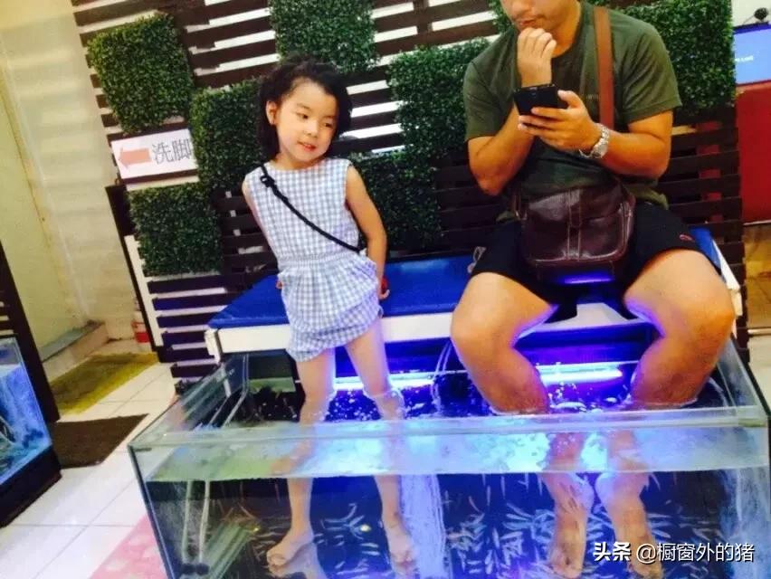 泰北玫瑰的英文,泰北玫瑰图片