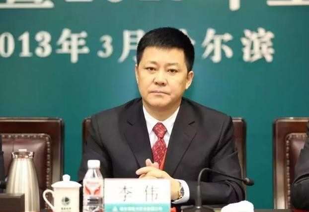 哈尔滨李伟利宣判结果,哈尔滨李伟被判