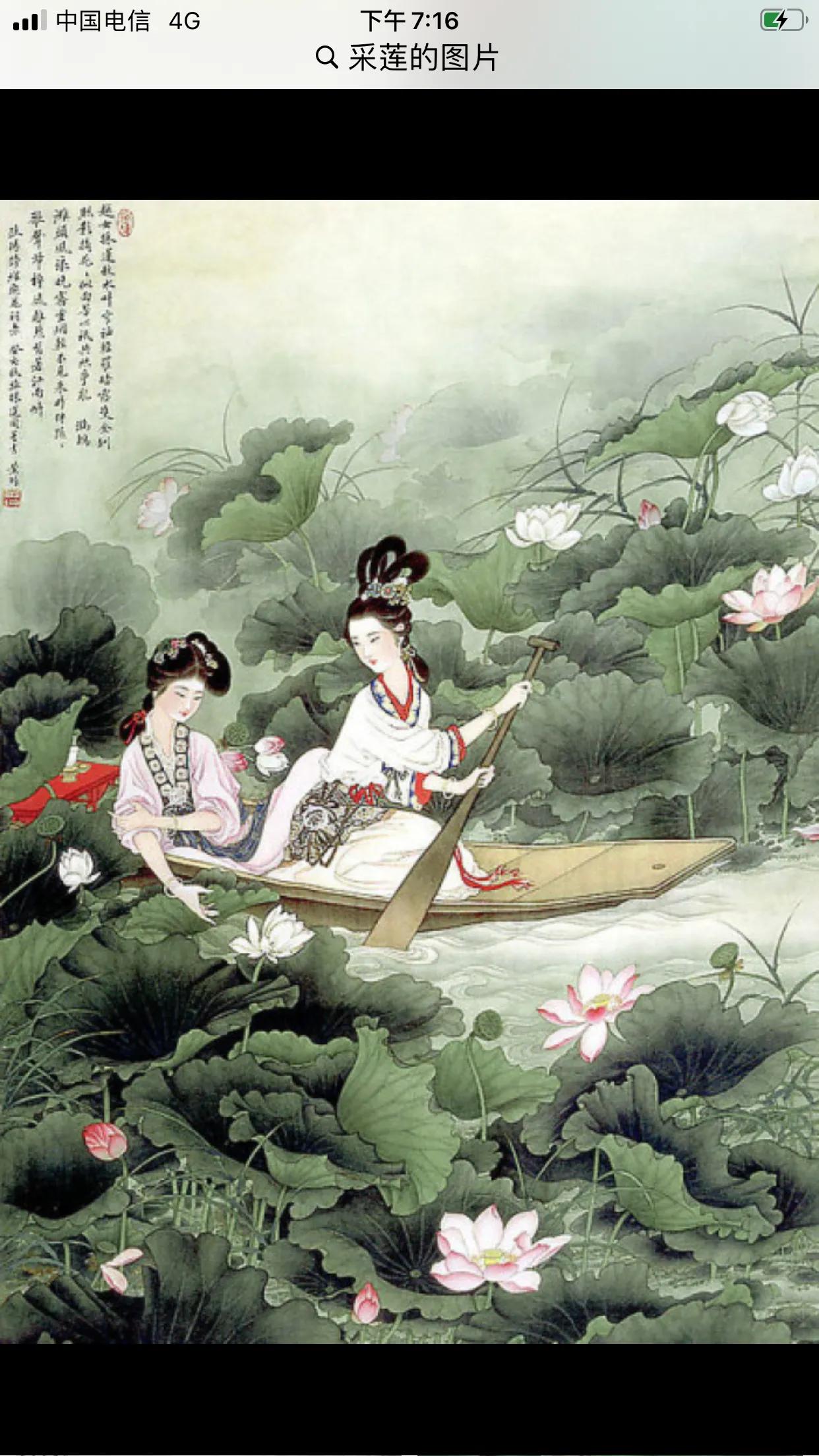 江南可采莲采的是花吗,江南菱角