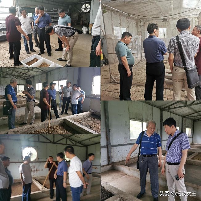 陕西益能生物科技有限公司,乳酸菌生态养殖基地