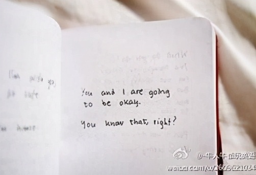 《有言有味说单词》(四百六十七讲)三种“日记”的区别