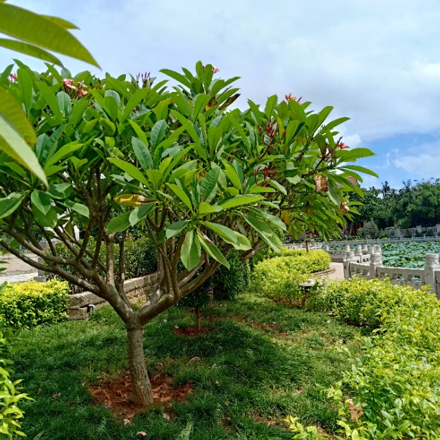 空手套白狼的创业点子美容,空手套白狼赚钱点子