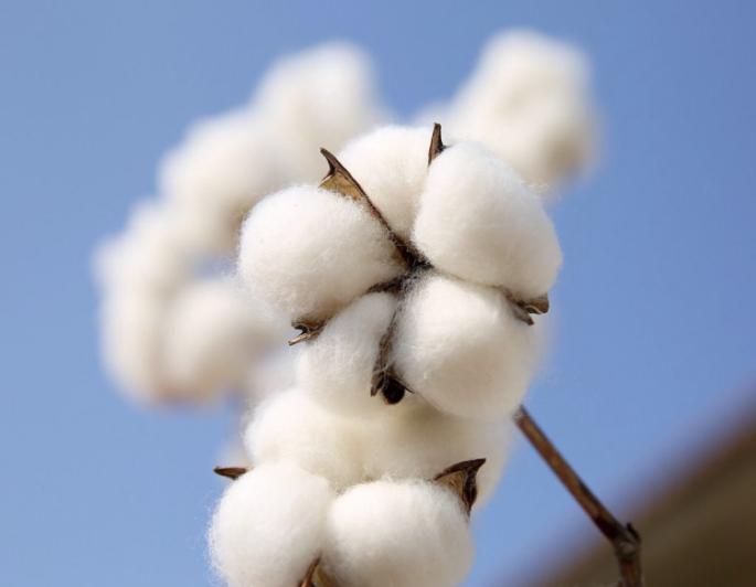 夏季高腰阔腿牛仔裤穿搭女,高腰牛仔裤女阔腿梨形身材