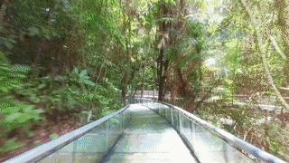 无法离昆,就地过年!昆明亲子游推荐路线重磅来袭!花样过牛年