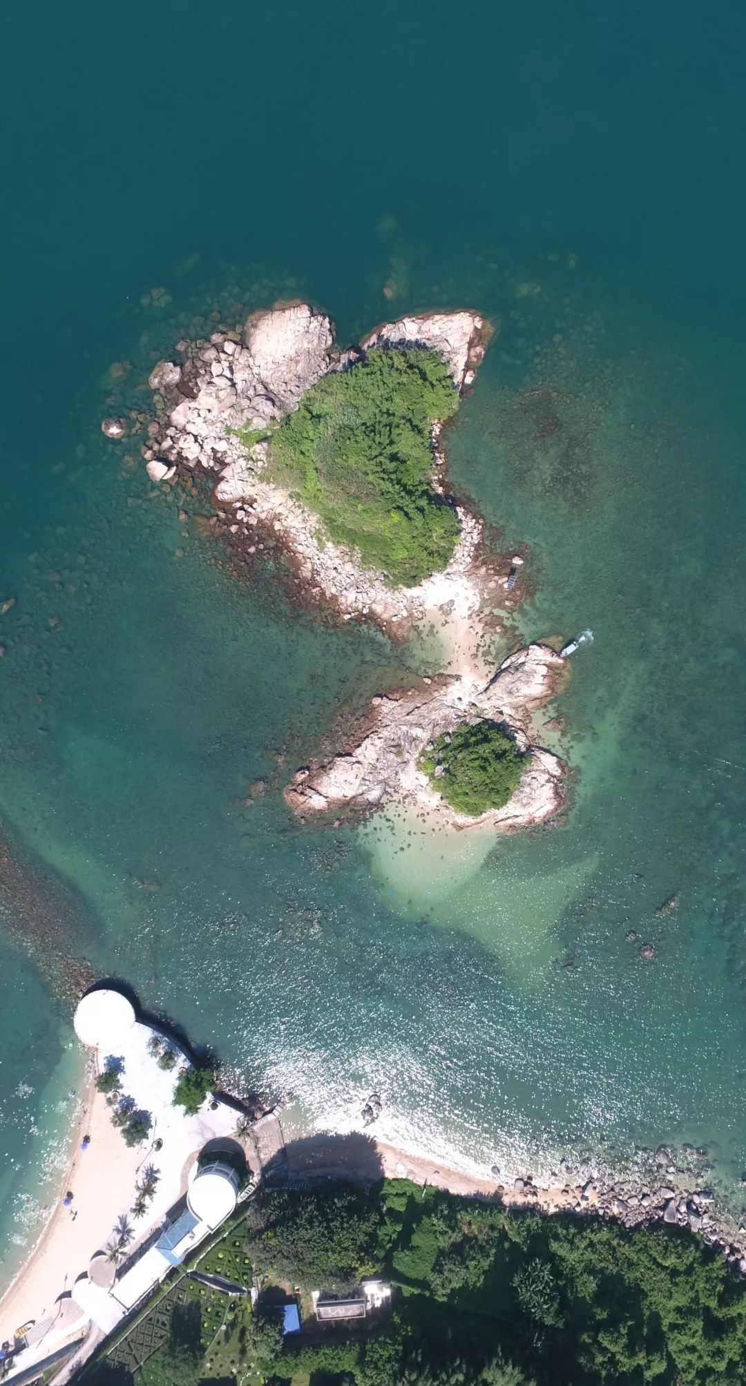 什么是深圳菜,什么是深圳