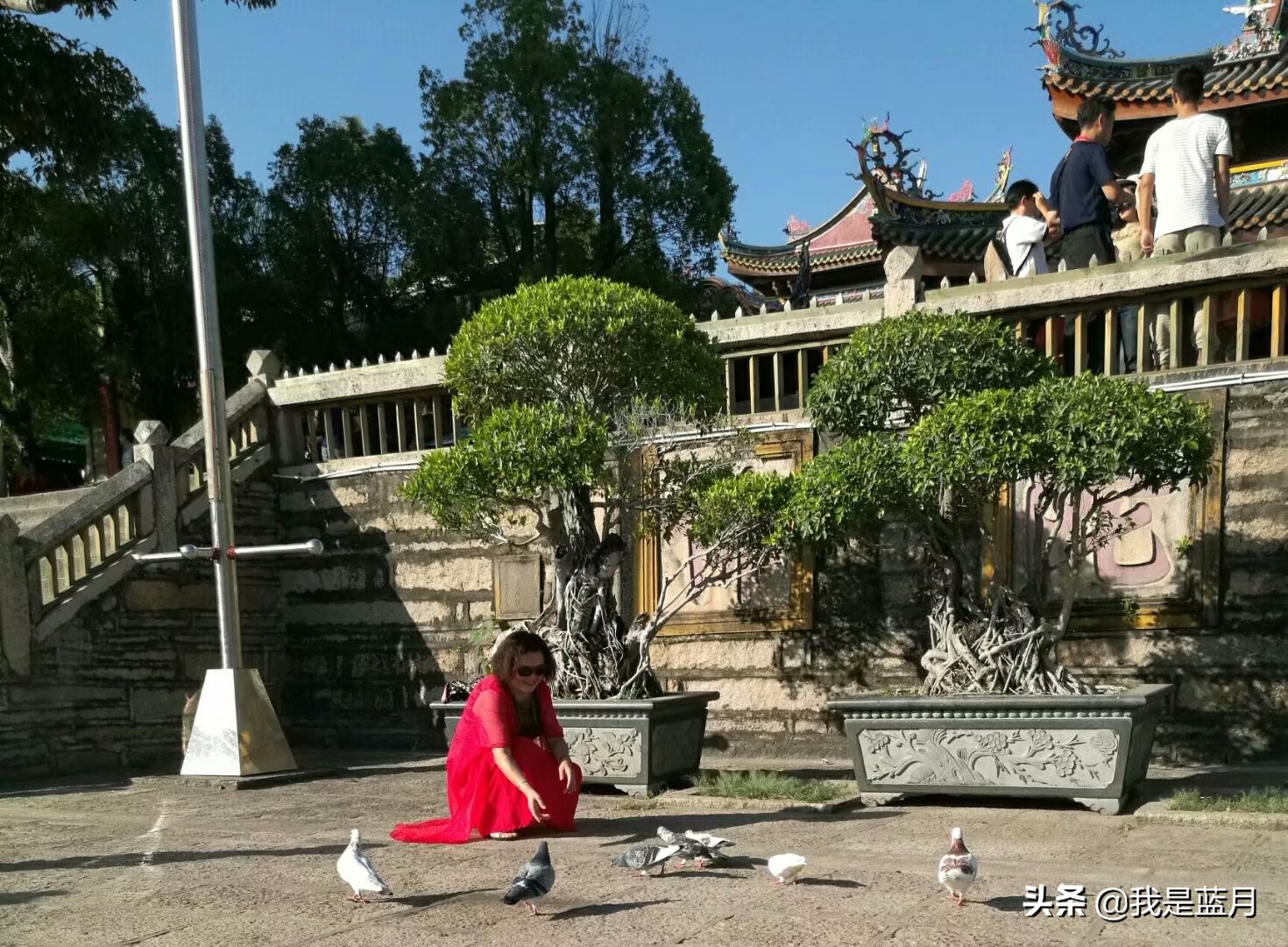 厦门清新之旅,厦门浪漫之旅散记之三