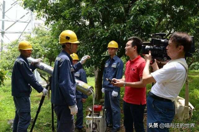 如何实现优雅地砍树?来,抬出我的*四代第**“激光大炮”