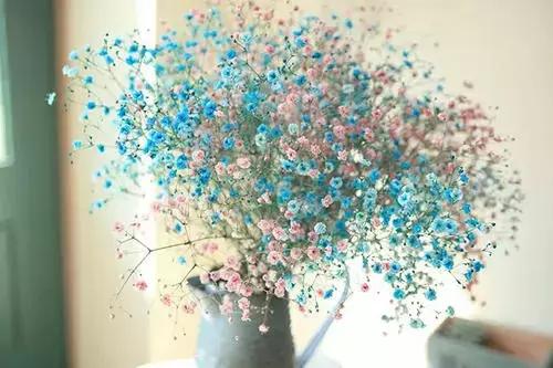 情人节收到的花别扔,情人节花别丢