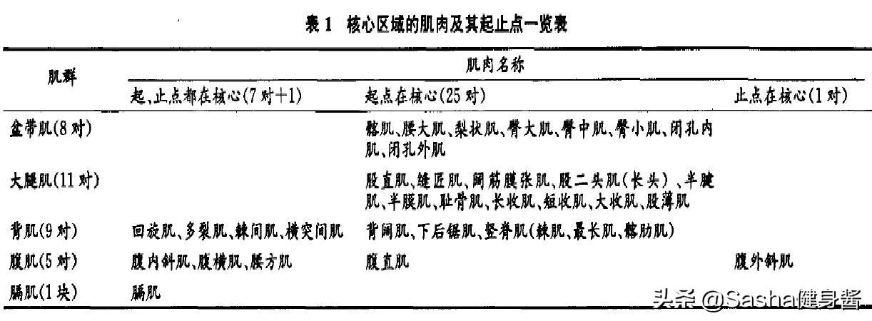 核心肌群肌肉力量训练,核心肌肉群锻炼方法图解