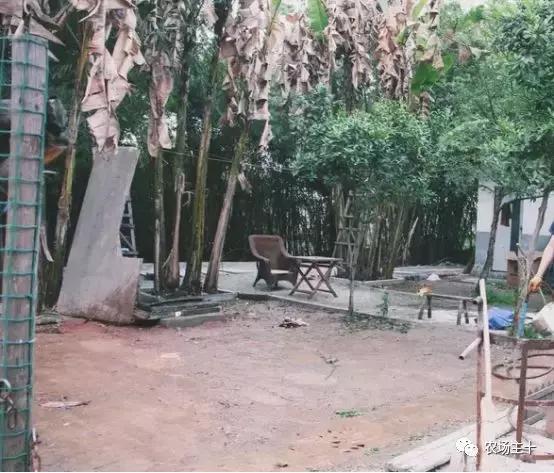 改造山野小院记录田园生活,花4万块钱改造的小院