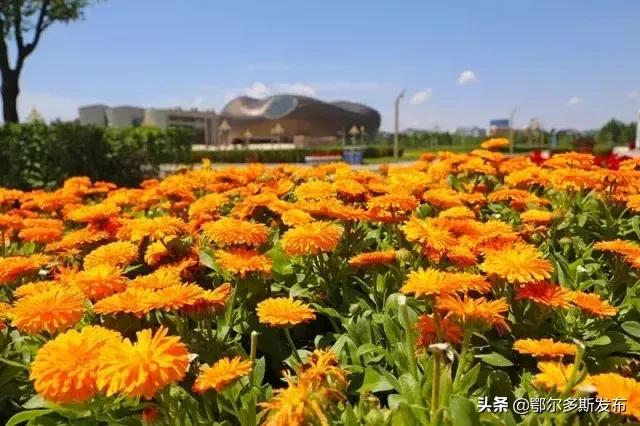 康巴什的十二个时辰,最美的竟是子时,你同意吗?