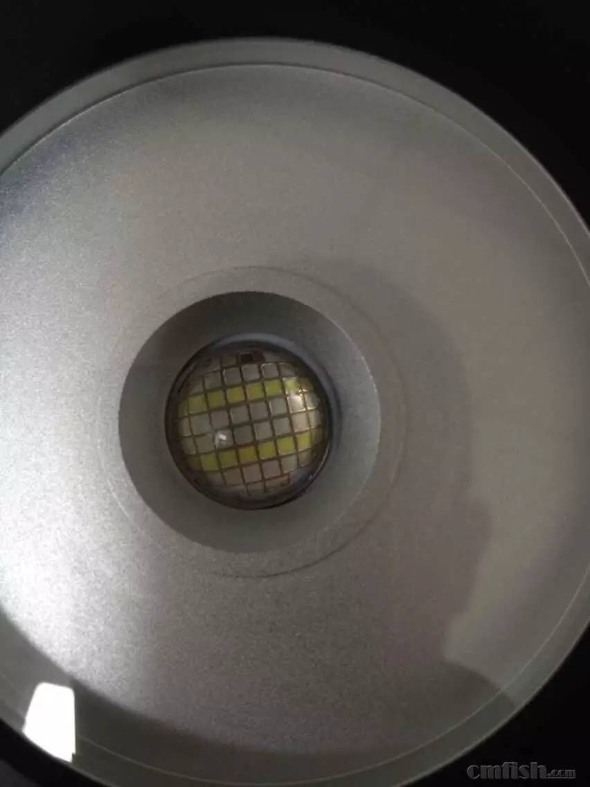 KELO钜彩照明LED水族灯试用活动鱼友评测详情(二)