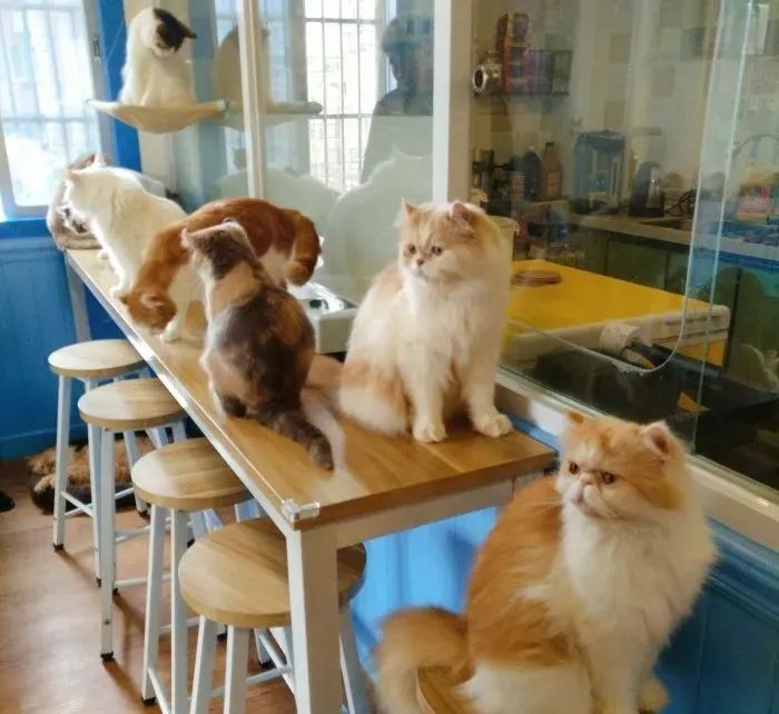 海珠区，一个不敢再去的地方