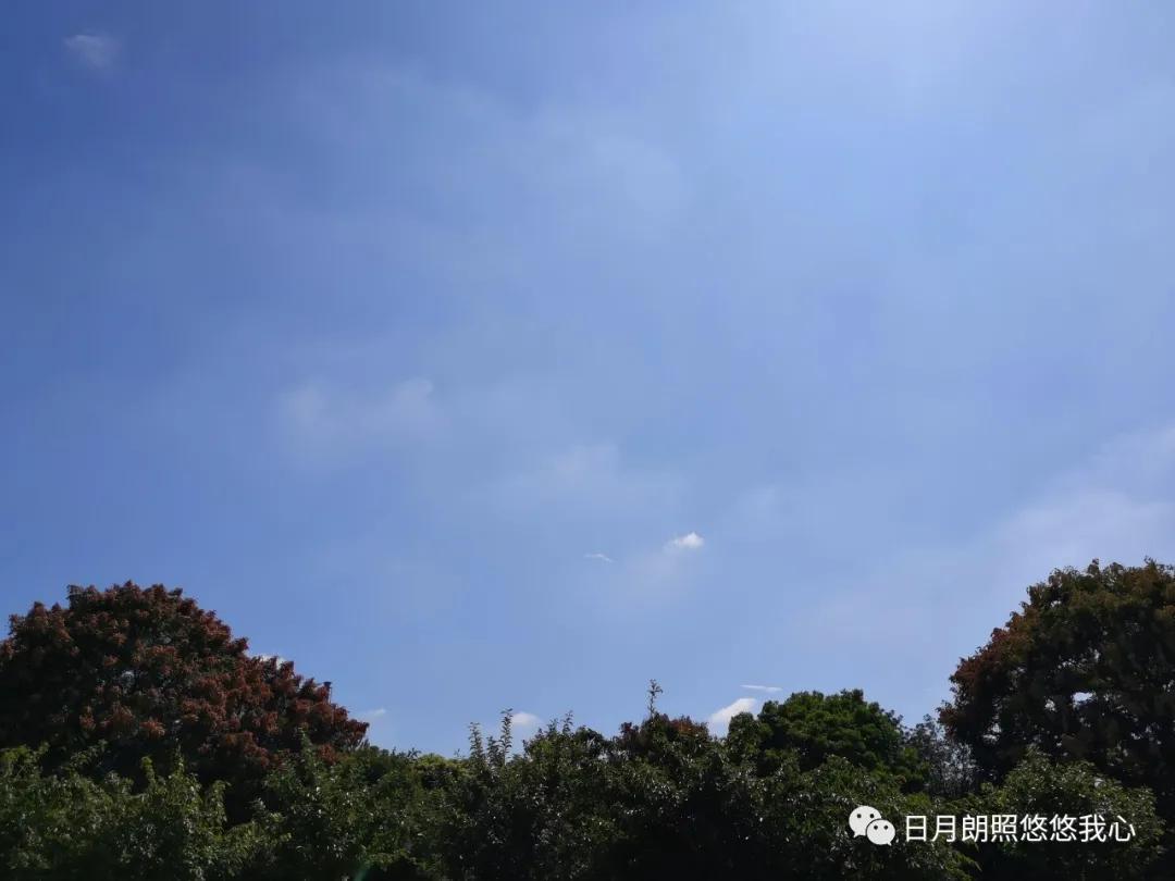 我见青山多妩媚全文,我见青山多妩媚