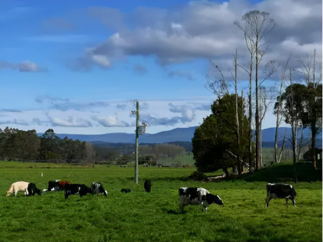 奶粉测评圣元,奶粉测评圣元优博瑞慕