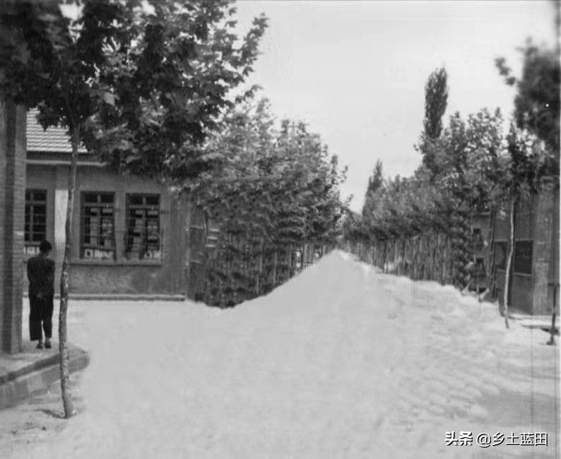 韩鹏飞||蓝田城关中学赋(修订版)