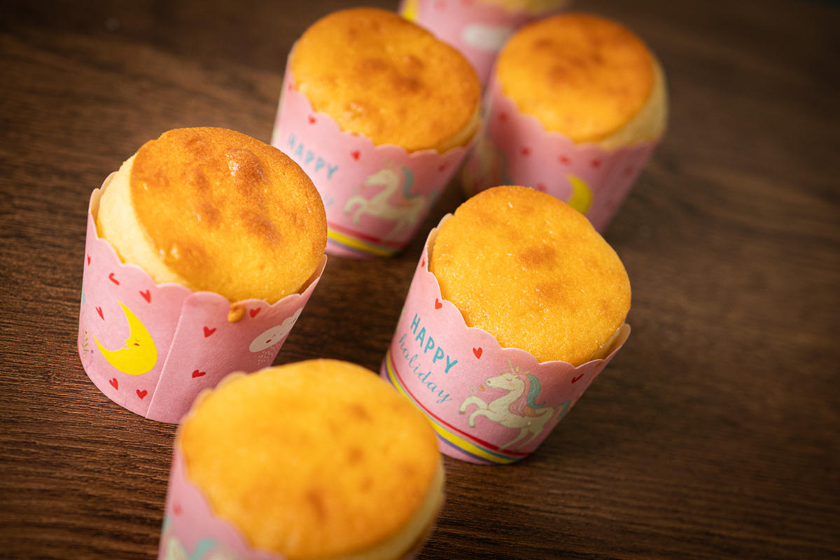 如何选一款最实用的烤箱,烤箱入门款新手推荐