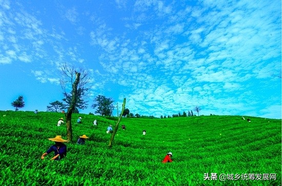 鐧句簨鍙箰璺ㄧ晫鍚堜綔,鐧句簨鍙箰甯傚満鎬荤洃