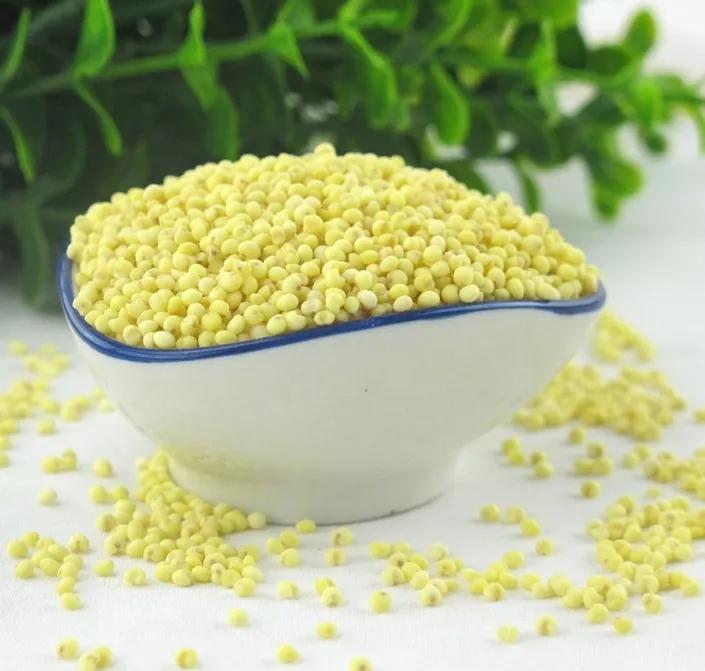 新评书:顽童学道记26,少年刘神仙是如何学道的?脱胎换骨叁