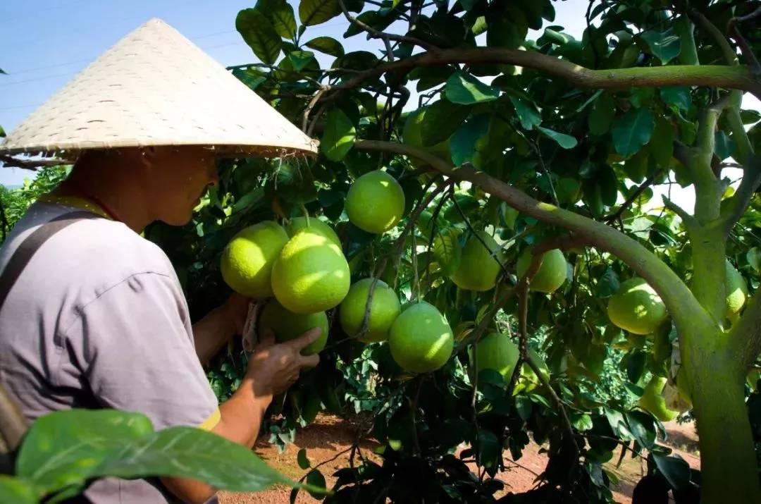 万元大奖征集,万元大奖征集广告语