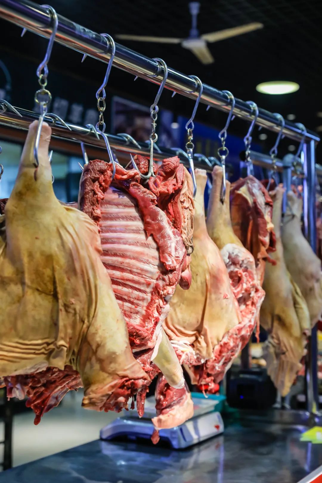 杨记土火锅探店,杨记土火锅优惠套餐