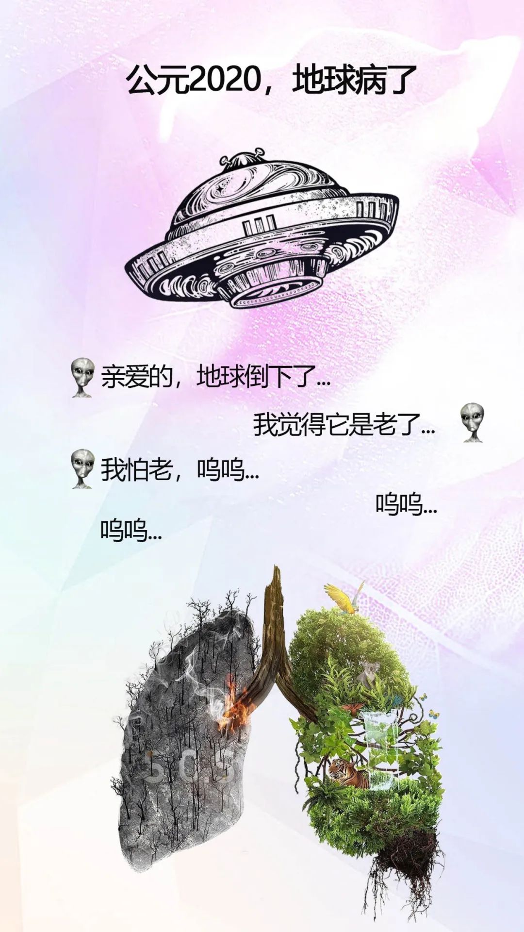 德洋健康,德洋健康养生视频