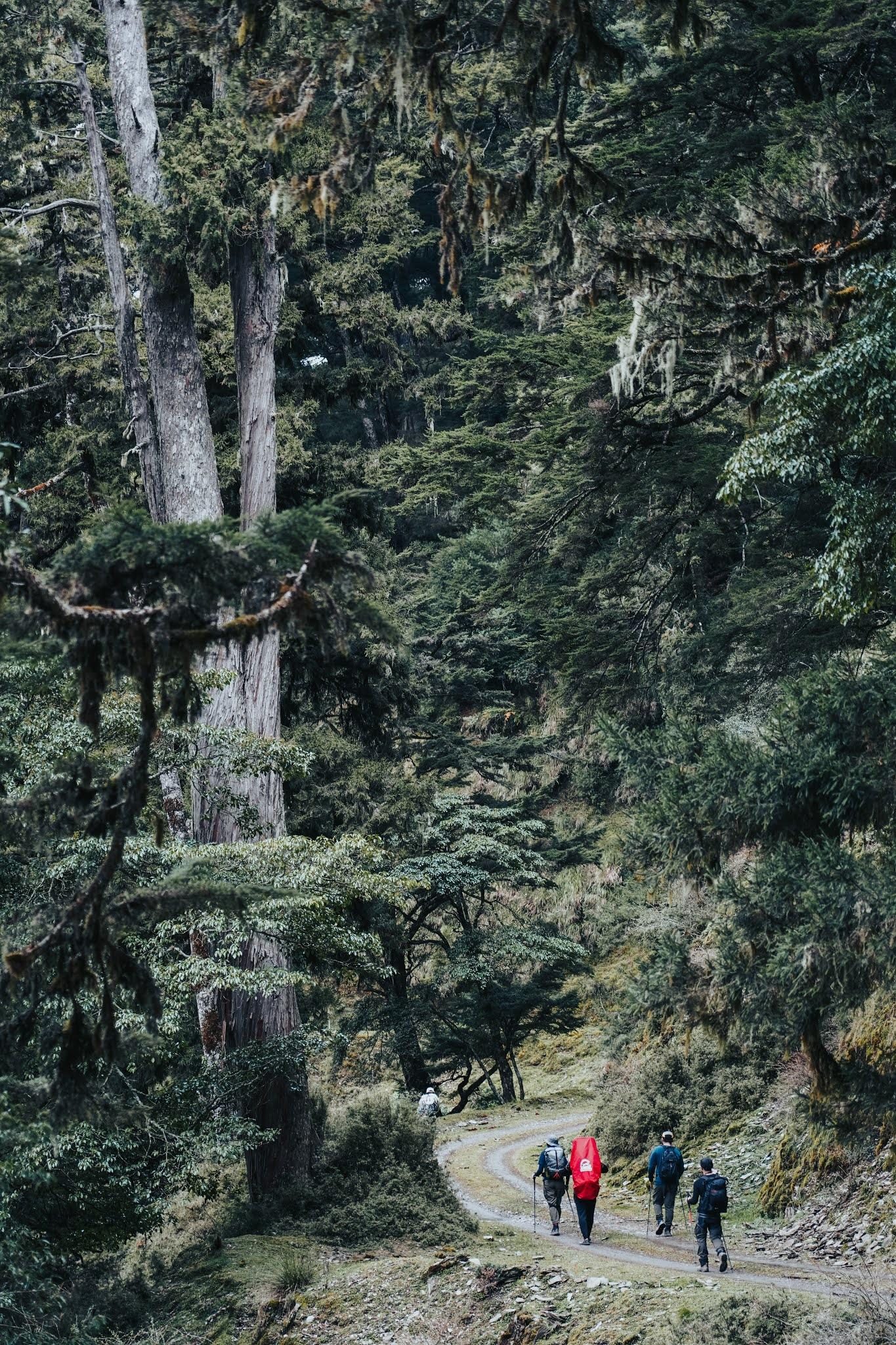 毛猴抓绒外套,毛猴抓绒衣测评