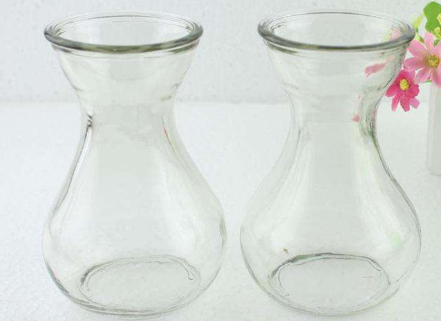 水培风信子的正确方法,水培风信子花开完花后怎么处理好