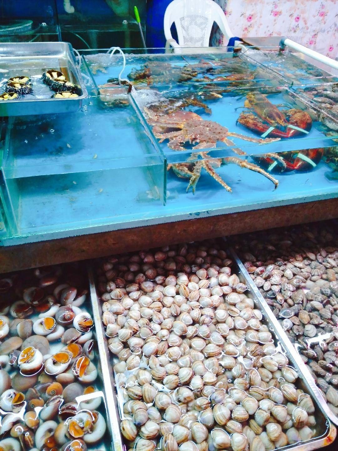 10元的鲍鱼能买吗,10元一斤的鲍鱼