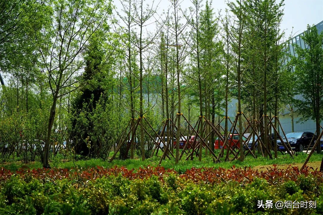 兰州民生工程最新进展,重点民生项目进展清单