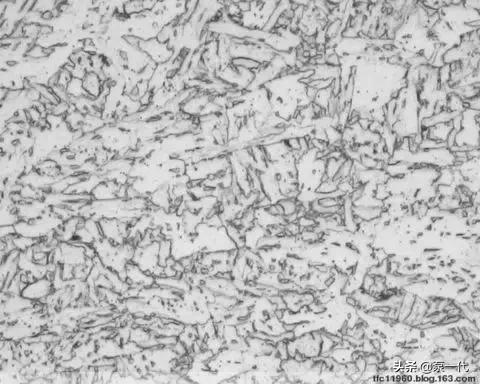 马氏体、奥氏体、珠光体,20种材料彩色金相,带你轻松识别