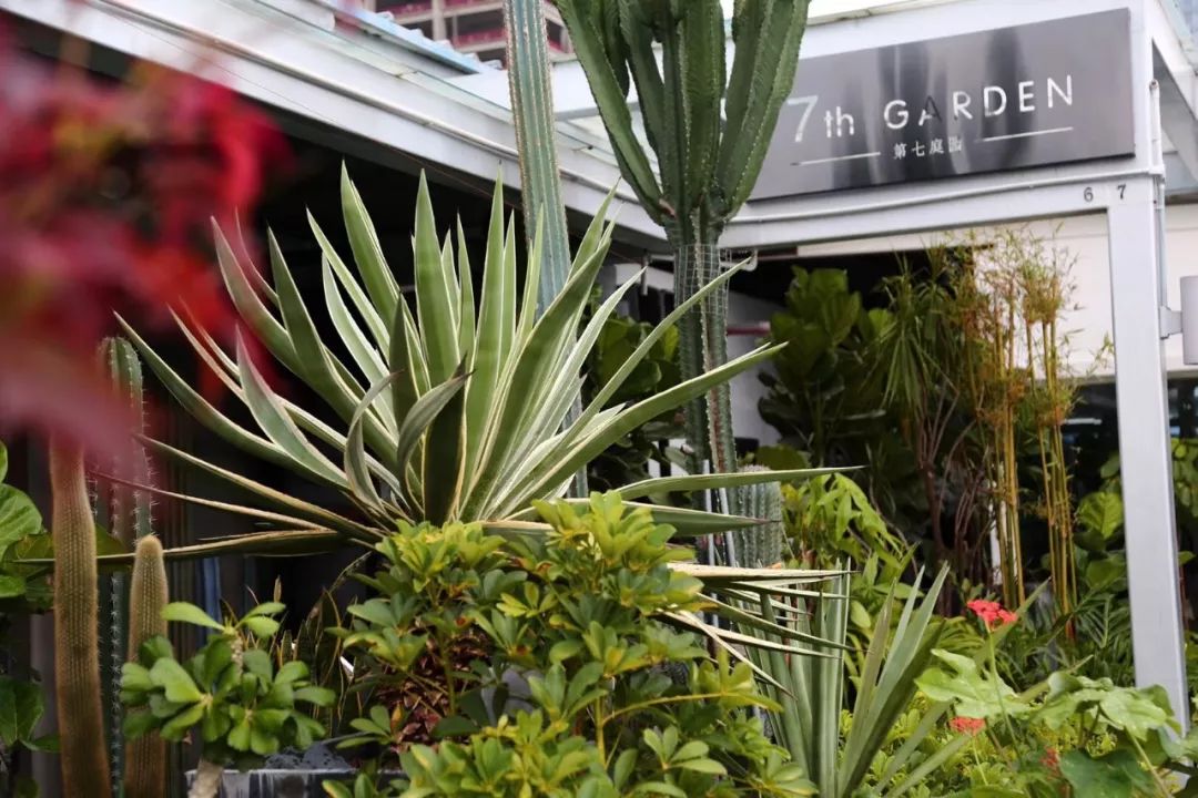 算命说上辈子是花童是什么意思,上辈子是花童是什么意思