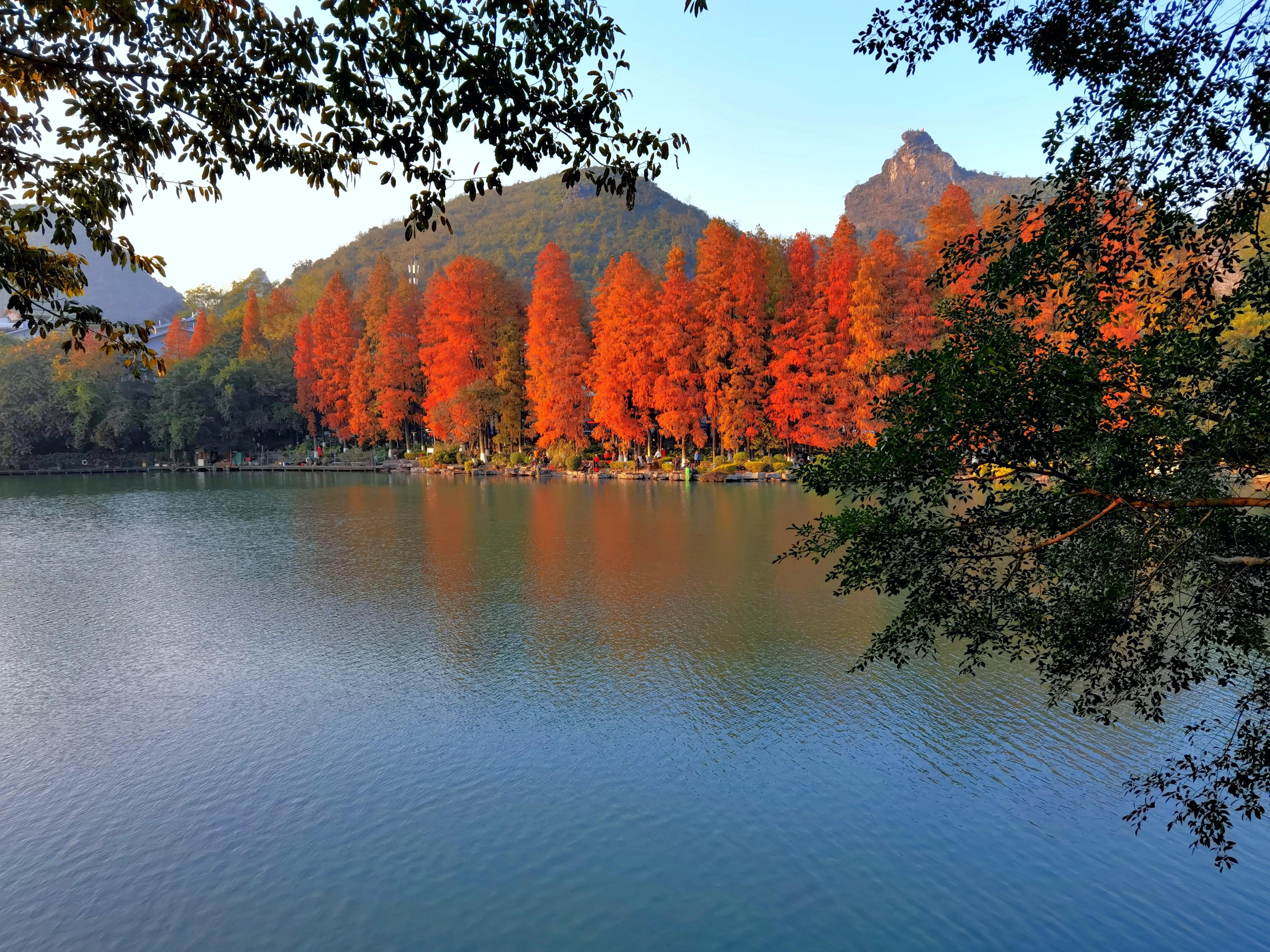 桂林：冬季到桂湖来看景